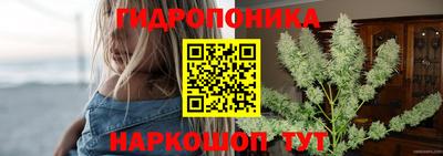 дживик Кунгур