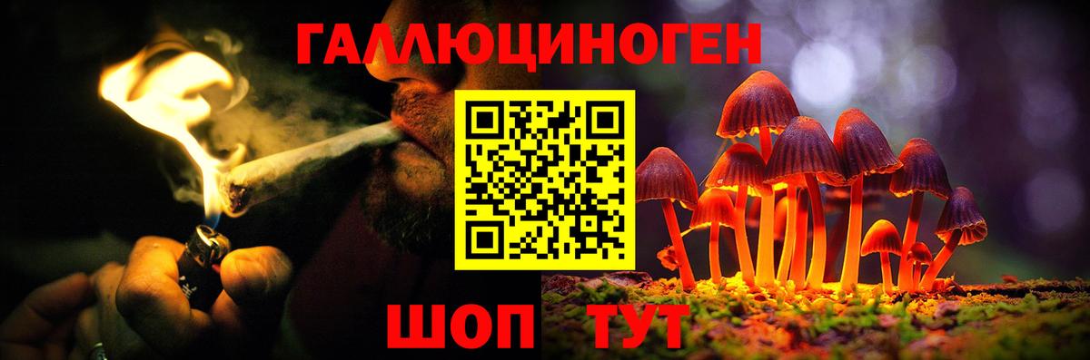 Джанкой  цена   Вход с VPN  Галлюциногенные грибы Psilocybine cubensis 